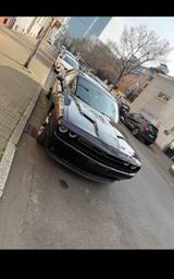 Dodge Challenger - Dodge Challenger in Frankfurt (Main)