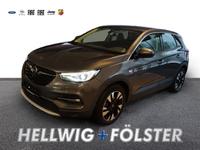 Opel Grandland X INNOVATION SHZ LenkradHZG Navi Apple