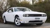 Dodge Challenger*LED*LEDER*KLIMATRONIK* - Dodge Challenger Gebrauchtwagen