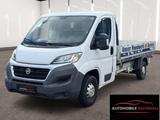 Fiat Ducato Pritsche 35 130 L4 RS.3830mm - Fiat Ducato: L4