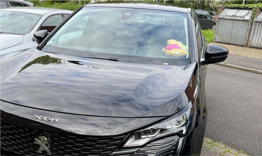 Image of Peugeot 3008