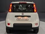 Fiat Panda City Life *KLIMA*1.HAND nur 4.000 km* - Fiat Panda: Km H