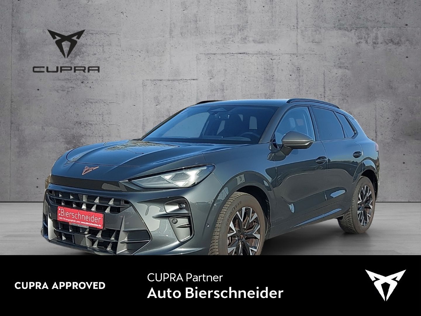 Cupra Terramar 1.5 eTSI DSG NAVI KAMERA HEAD UP KEYLES