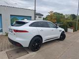 Jaguar F-Pace 30t AWD R-Sport Automatik R-Sport - Jaguar: Sport
