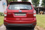 Subaru Forester 2.0X Exclusive - Subaru Forester mit Benzin-Antrieb