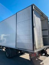 MAN TGL 12.250 BL / Thermo King - MAN Tgl