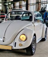Volkswagen Käfer 1200 Cabrio Breitbau Umbau Oldtimer - Volkswagen Käfer: Cabrio, Umbau