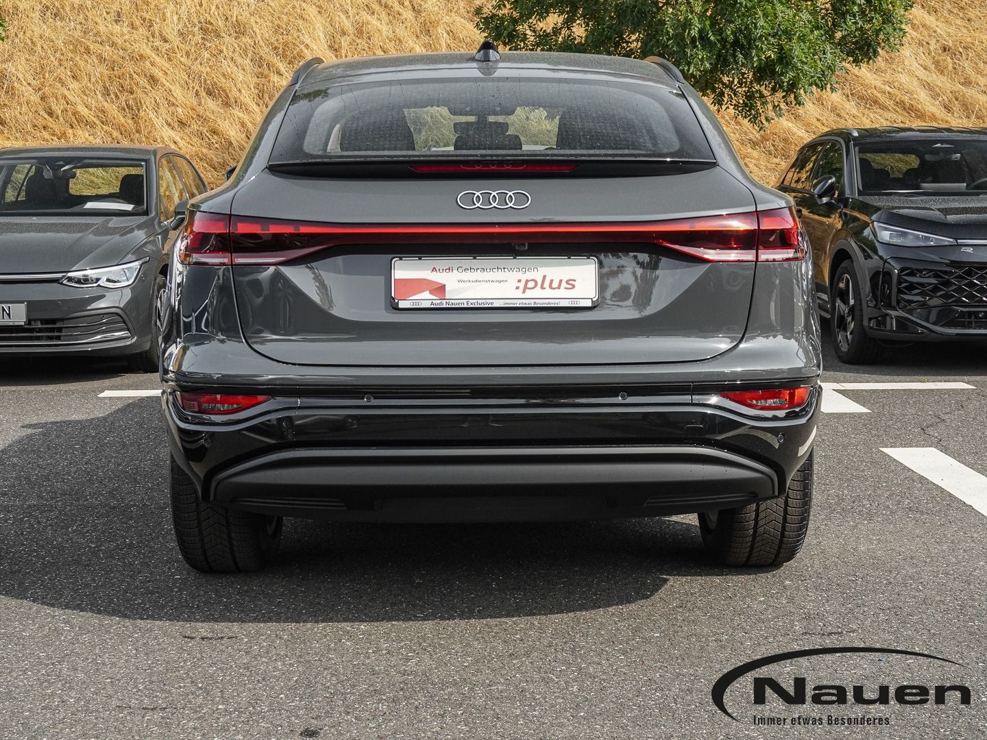 Audi Q6 e-tron - Bild 8