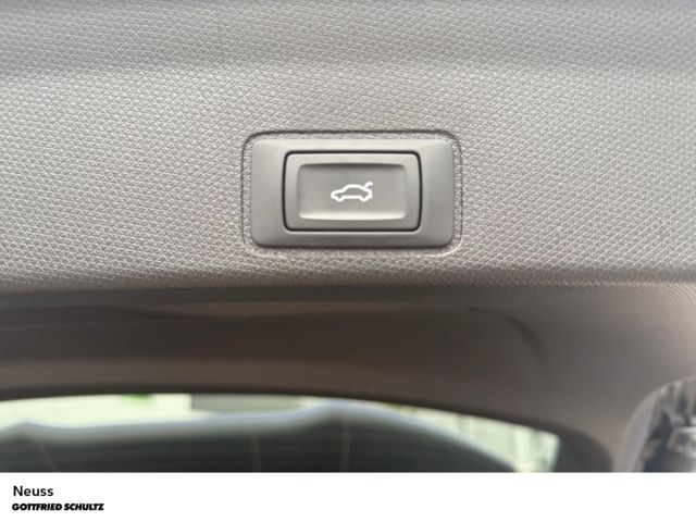 Cupra Terramar - Bild 13