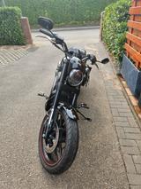 Harley-Davidson Night Rod Special - Angebote