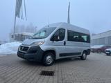 Fiat Ducato Luxusbus Panorama Modular 33 150 L2H2 - Fiat Ducato: 9 Sitzer