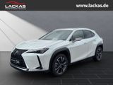Lexus UX 250h Executive +Premium Paket HUD El. Panodac - Lexus UX aus 2023
