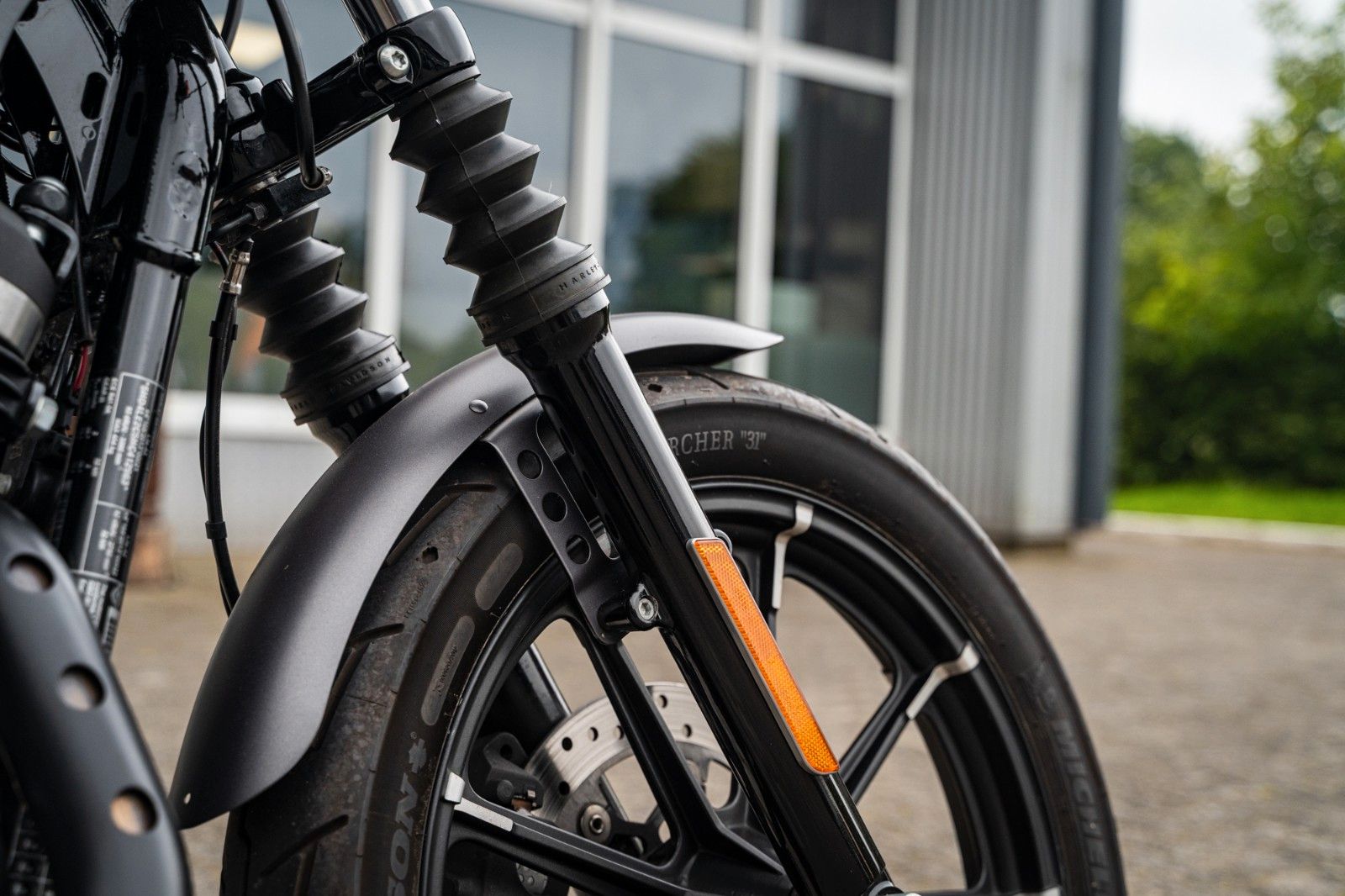 Fahrzeugabbildung Harley-Davidson XL883N - Iron