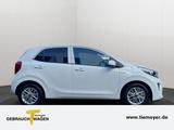 Kia Picanto Kia Picanto Vision Klimaaut. Navi RFK 14 - gebrauchte Kia Picanto aus dem Jahr 2023
