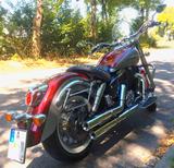 Honda VT 1100 C3 Shadow - HONDA SHADOW 1100