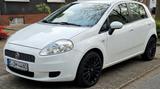 Fiat Sehr gepflegter Punto 1.2 8V Classic Classic