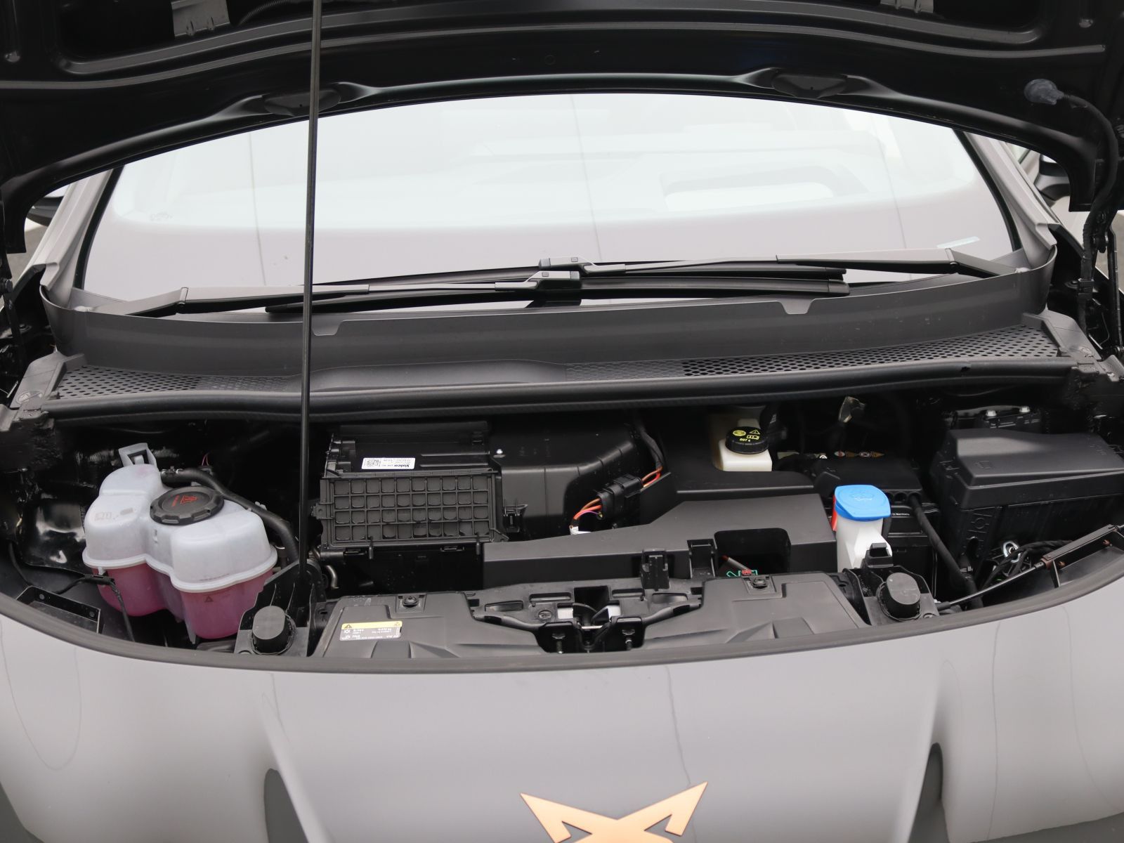 Cupra Born - Bild 19
