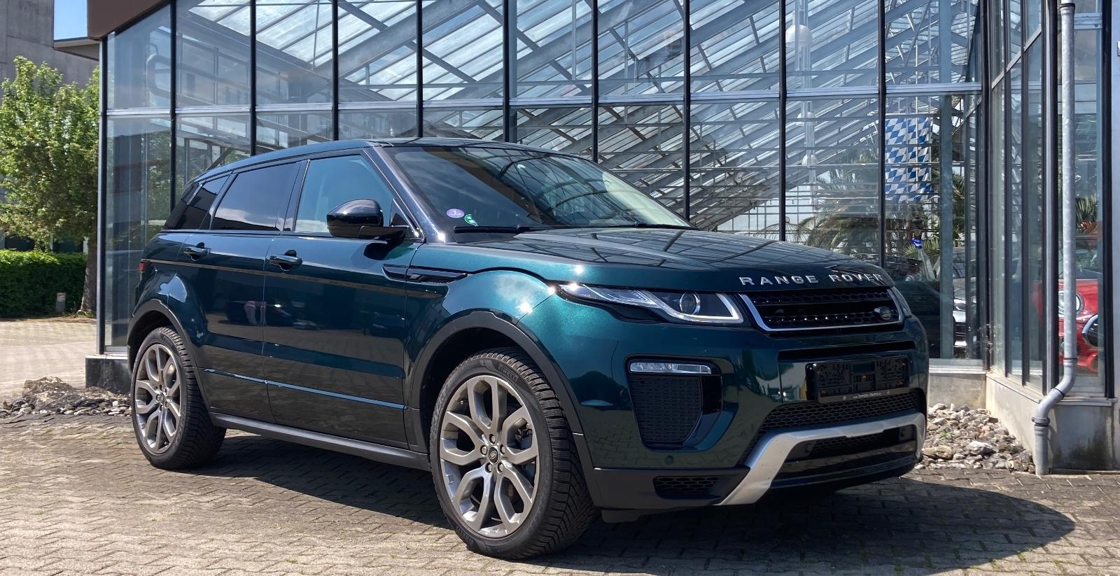 Land Rover Range Rover Evoque SE Dynamic Automatik Leder