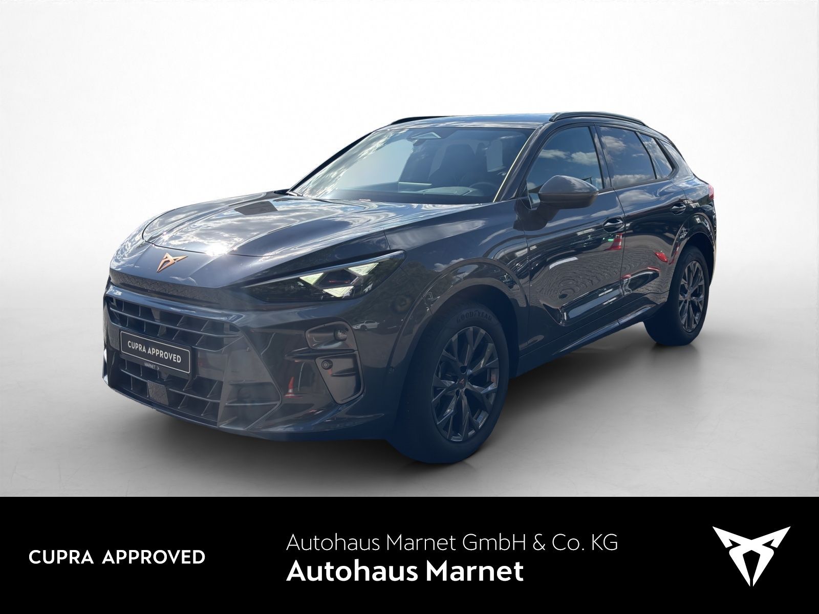 Cupra Terramar 2.0 TSI 4Drive Navi Matrix Kamera El.H foto 1