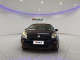 Fiat FIAT Punto 1.2 8V 5 porte Lounge - Fiat Punto mit Schiebedach