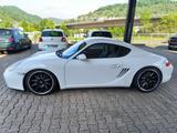 Porsche Cayman 2,7 KW Gewinde Cargraphic 19 Zoll Top - gebrauchte Porsche Cayman aus dem Jahr 2006