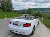 BMW 230i Steptronic Cabrio Sport Line Sport Line - BMW 230: I