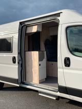 Clever Celebration | Zum Bestpreis bei Dümo!* - Clever Neu