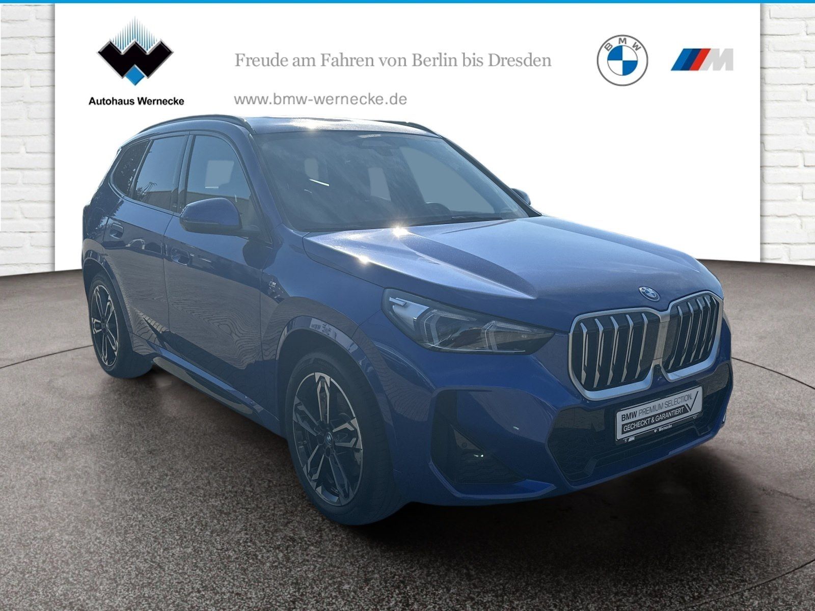 BMW X1 xDrive30e M Sportpaket Head-Up HK HiFi DAB foto 3