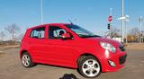 Kia Picanto 1.1 Spirit 7Jahre.KA.4xEFH.8fach.SHZ.ESP - Kia Picanto JA