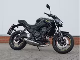 Kawasaki Z650 A2 ER650S *2024* - KAWASAKI ER 650