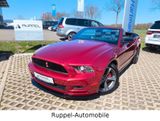 Ford Mustang V6 3,7L Cabrio Xenon Premium Automatik - Ford Mustang: Cabrio
