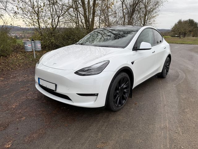 Tesla Performance Dual Motor AWD + AHK + MwSt ausw.