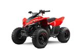 CFMOTO CForce 110 / Kinder-Quad / Aktionspreis - CFMOTO CFORCE 110