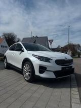 Kia XCeed 1.6 T-GDI DCT Platinum Edition Platinu... - Kia XCeed von privat