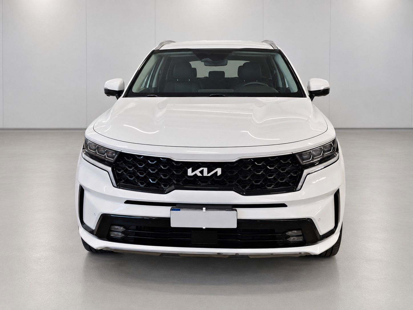 Kia Sorento 1.6 T-GDI Hybrid Spirit/Virtual/Kamera imagem 2