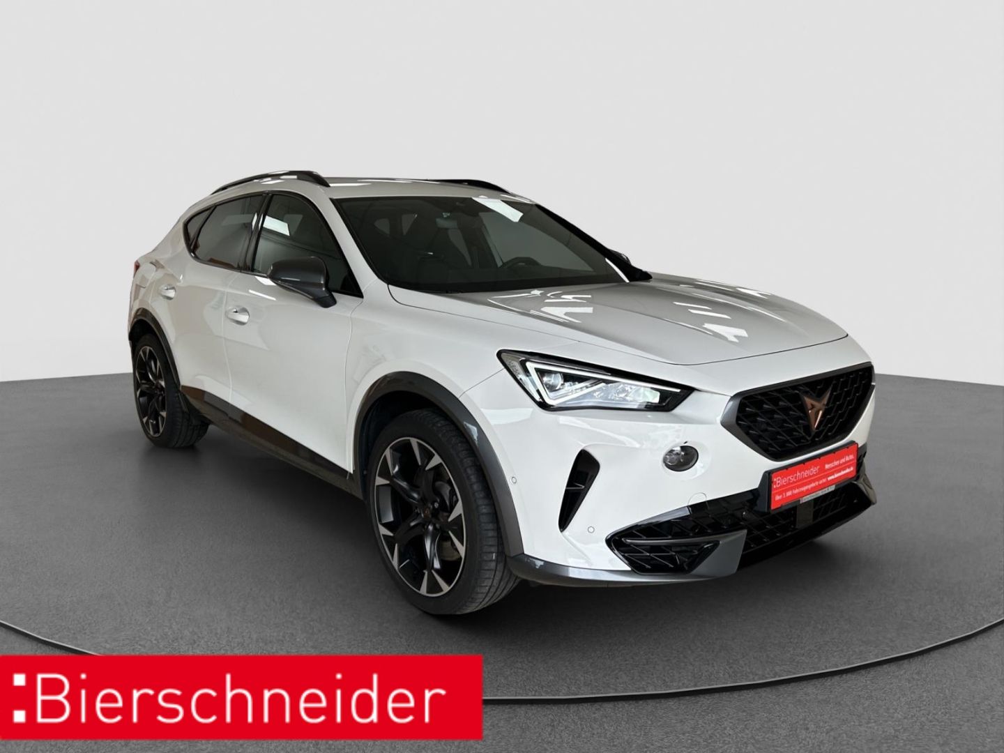Cupra Formentor 2.0 TSI DSG 4Dr. VZ RFK DCC ACC 19 imagem 3