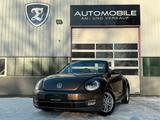 Volkswagen Beetle Cabriolet Design/DSG/BI-XEN/SHZ/GARANTIE - Volkswagen Beetle in Hannover