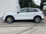 Porsche Cayenne S E-Hybrid S 333 PS TOP AUSTATTUNG - Porsche in Dortmund