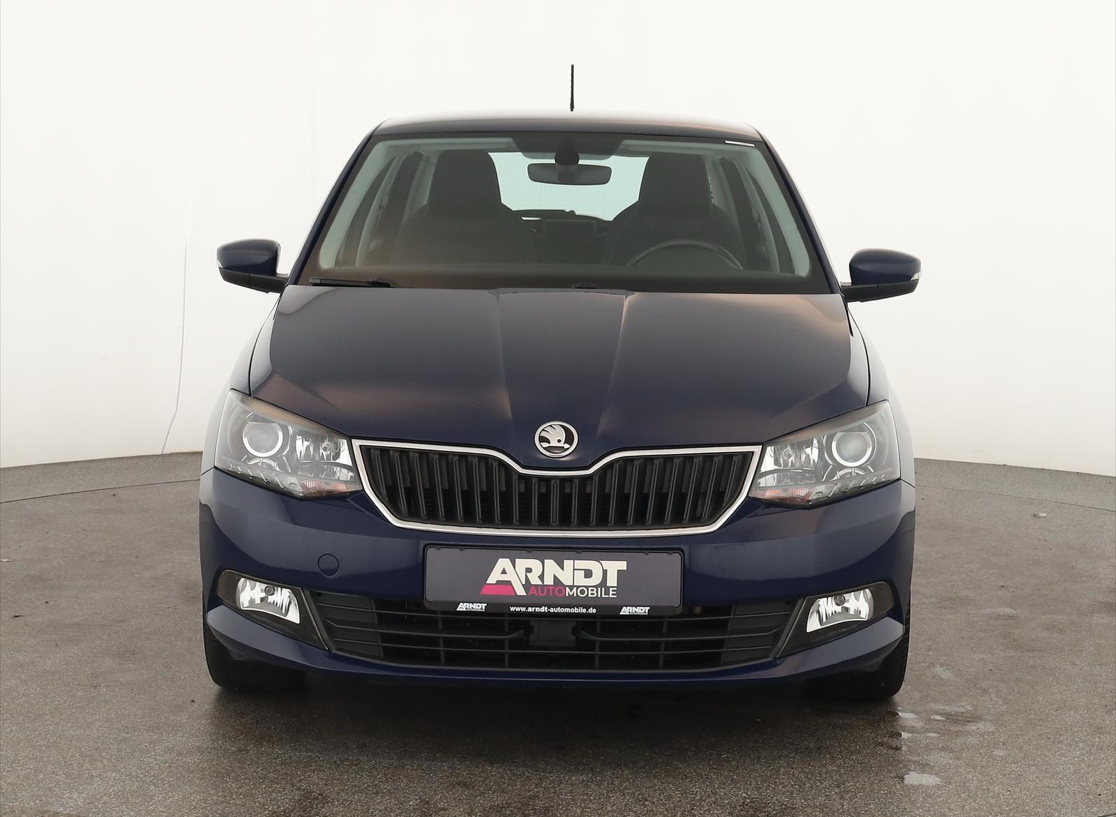 Skoda Fabia 1.0 TSI DSG Style Klima DAB SHZ ACC PDC 17