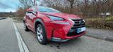 Lexus NX 300h E-FOUR Luxury Line*8-Fach*HUD*PANO*LED - Lexus: Nx