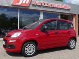 Fiat Panda My Panda Schiebedach*Klima*Tüv - gebrauchte Fiat Panda aus dem Jahr 2013