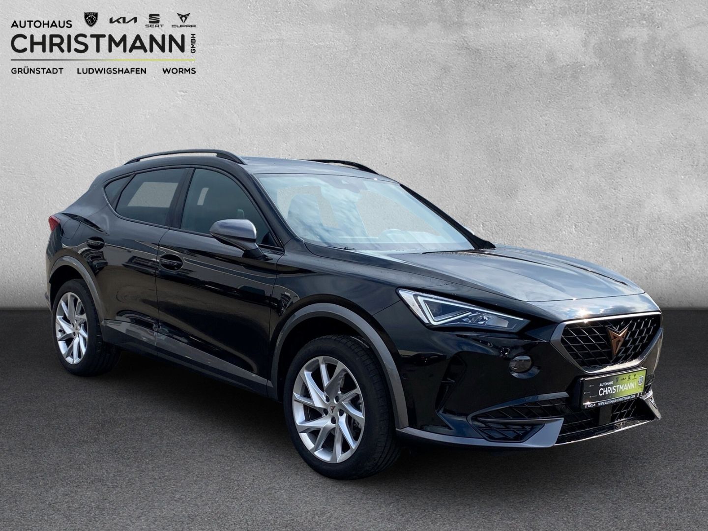 Fahrzeugabbildung CUPRA Formentor Basis 2.0 TDI EU6d AHK-klappbar El. Pa