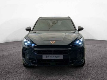 Cupra Terramar - 2