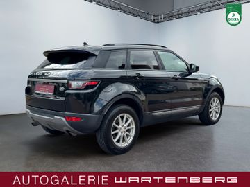 Land-Rover Range Rover Evoque - 5