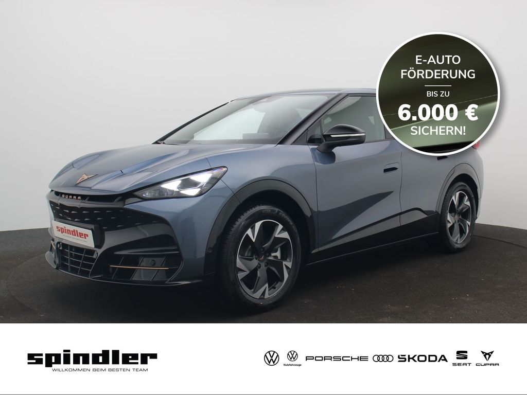 Tavascan Endurance ++sofort verfügbar++