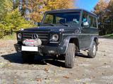 Mercedes-Benz G 300 TD Station Wagon 463 - Mercedes-Benz G 300: G300td