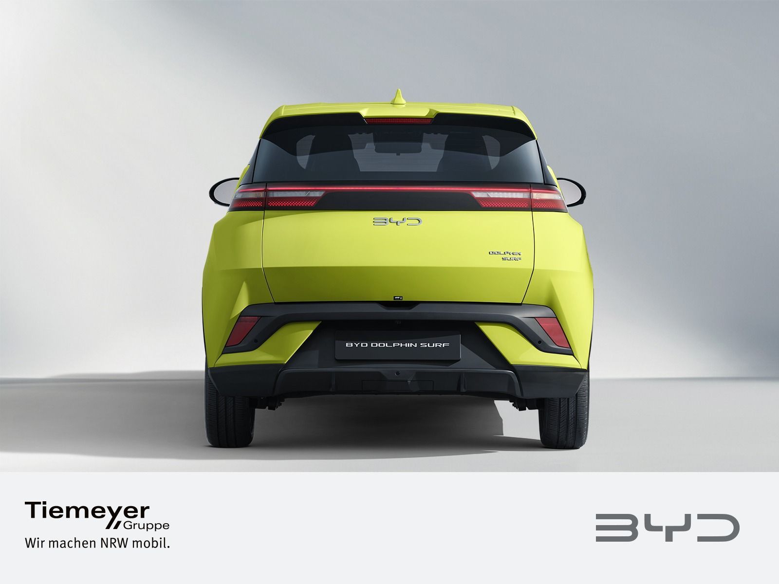BYD DOLPHIN SURF