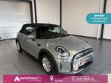 MINI Cabrio One Essential Trim LED|Kamera|PDC - graue MINI One Cabrio