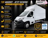 Fiat Ducato 2,3 HDI Maxi Koffer*4.500mm*Garantie*1-HD - Fiat Ducato: Maxi