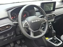 Fahrzeugabbildung Jogger Extreme+ 1.0 TCe 110 EU6e 7-Sitzer